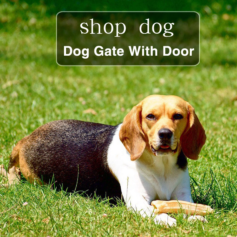 Dog gate with door