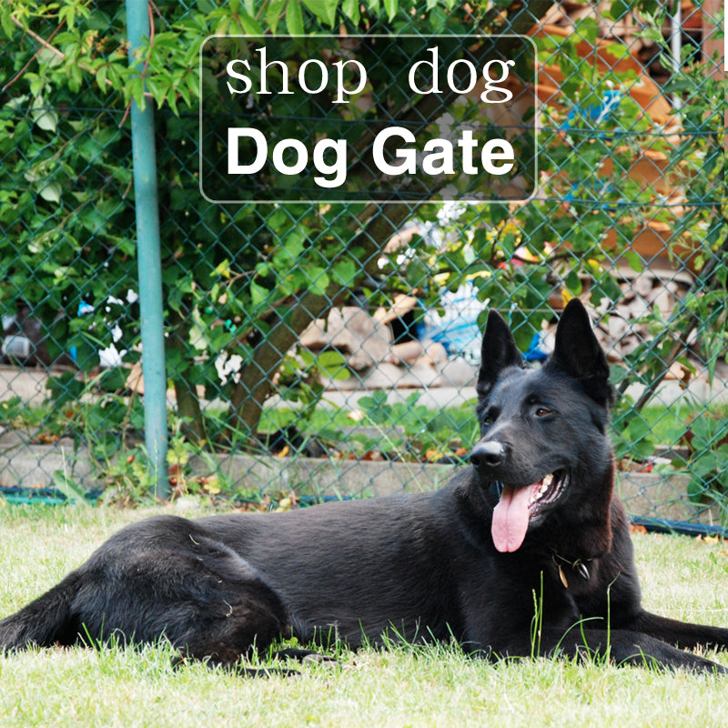 Dog gate